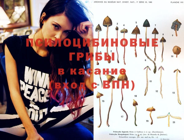 молекула духа Балабаново