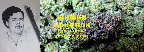 молекула духа Балабаново