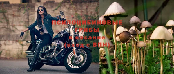 молекула духа Балабаново
